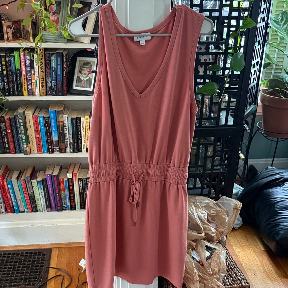 Evereve Sleeveless Rose Mini Dress
